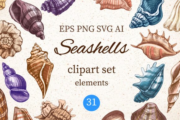 Capturing Coastal Charm with Vintage Seashells Clipart Set PNG SVG AI