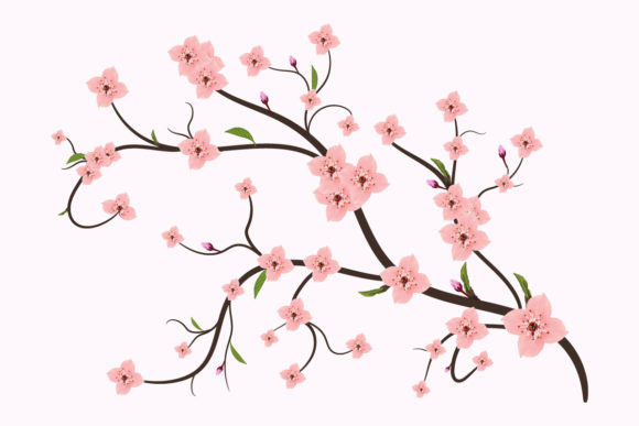 The Timeless Appeal of Sakura Cherry Blossom Flower Painting